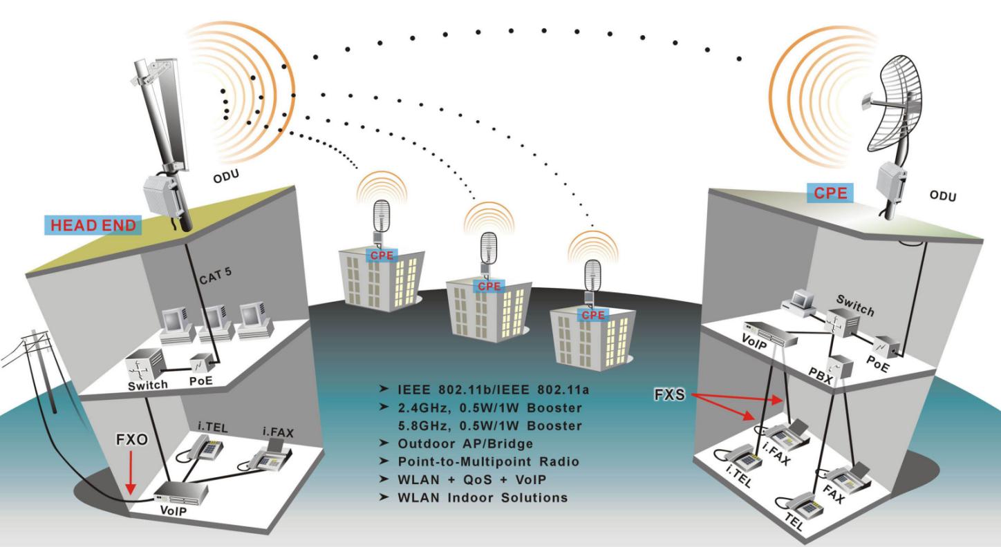 point to multi point network